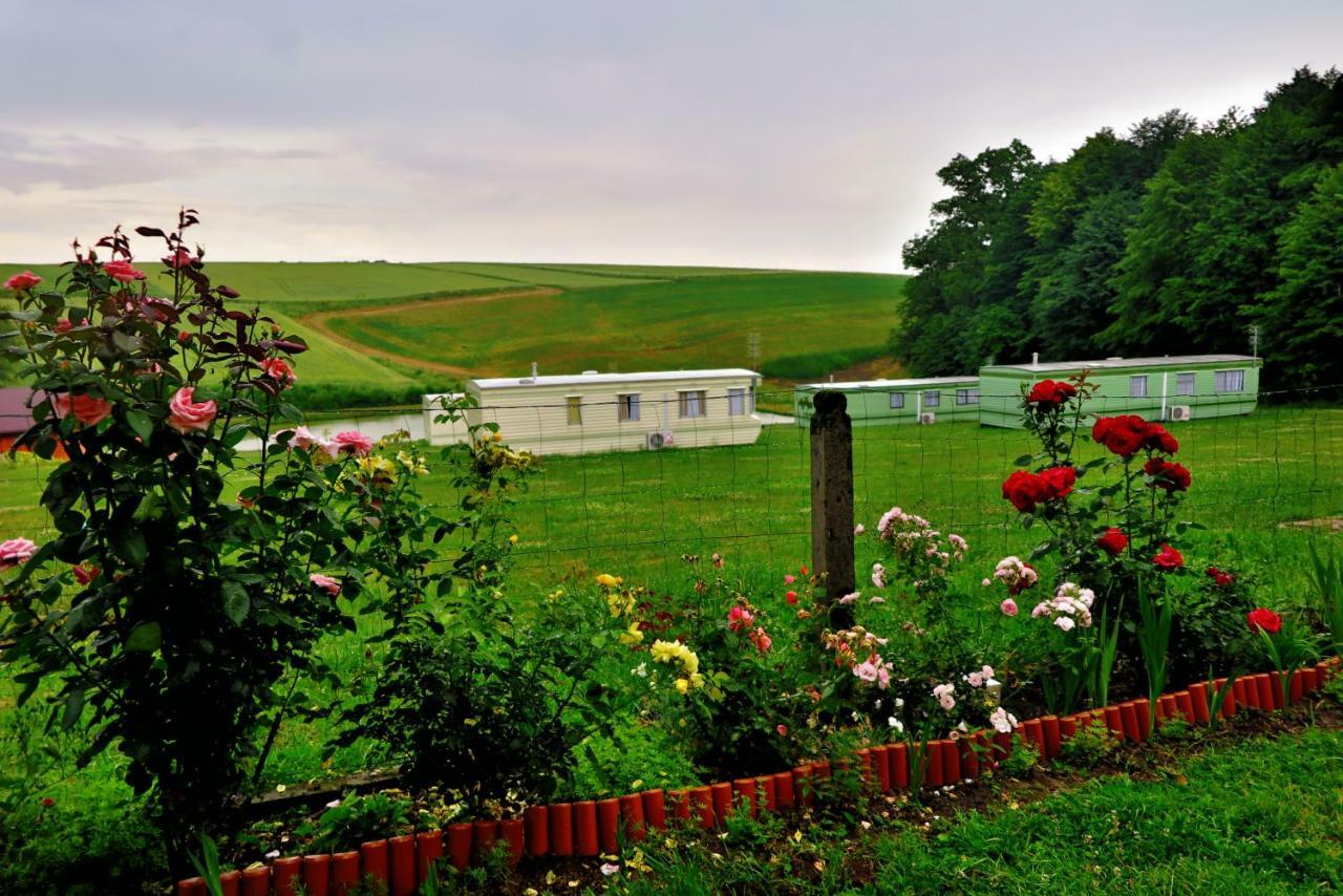 Lesny Zakatek Radocza Hotel Buitenkant foto